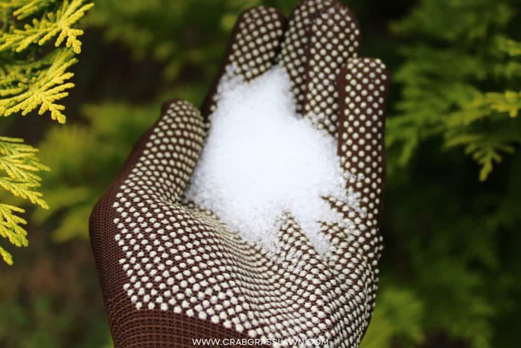 Does epsom salt kill weeds