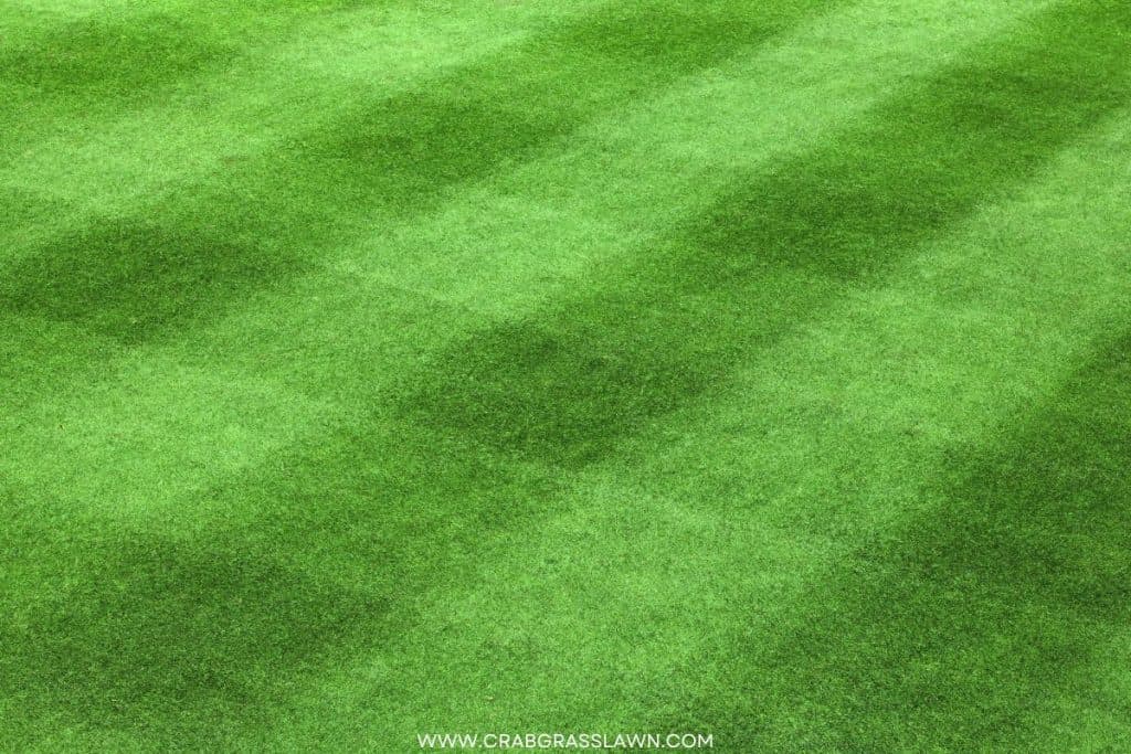 checkerboard lawn mowing pattern