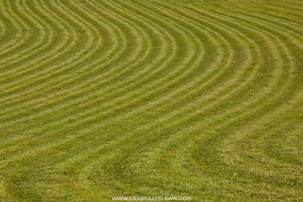 curves lawn mowing pattern