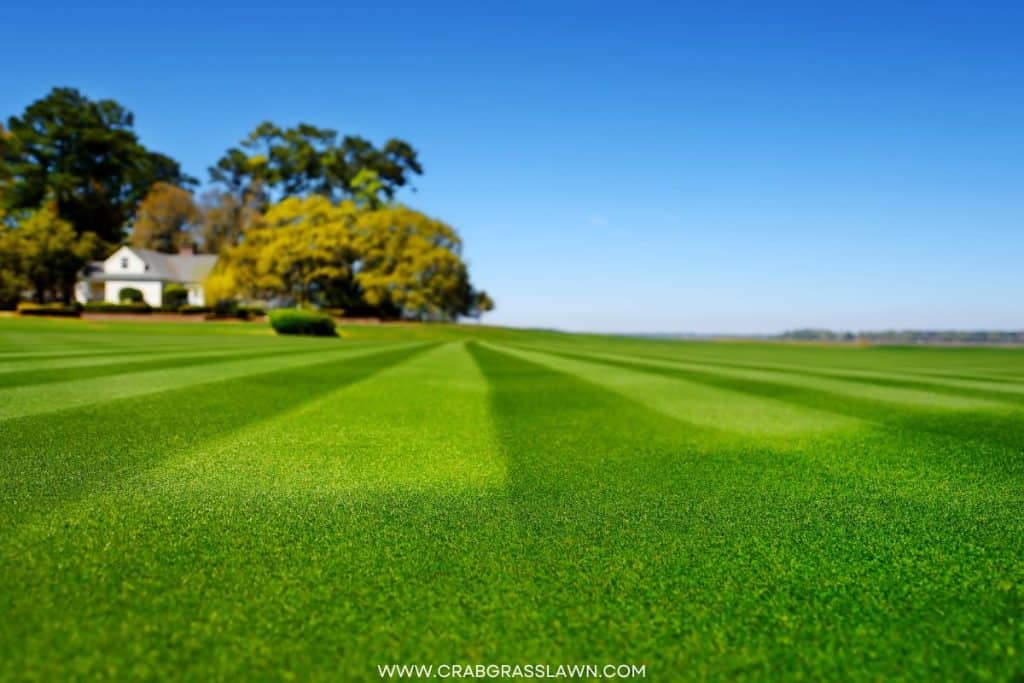 lawn mowing pattern