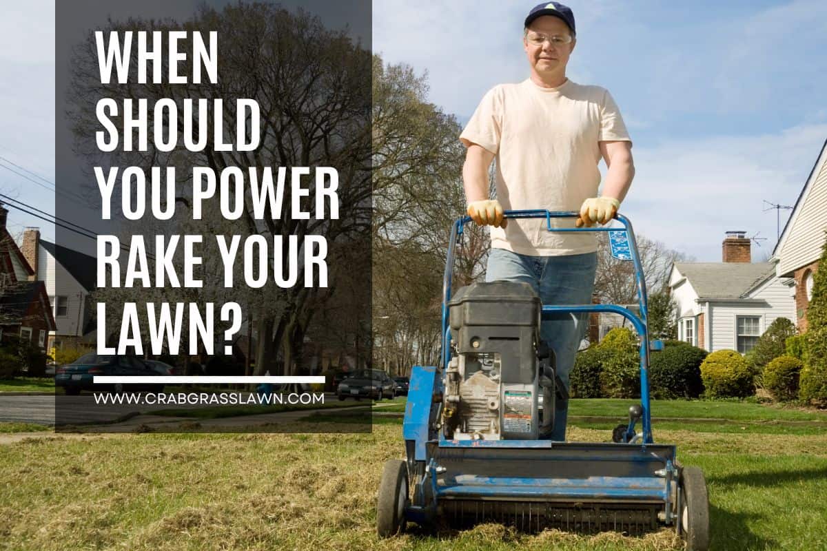 When Should You Power Rake Your Lawn