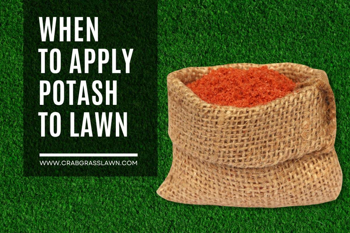 When to Apply Potash to Lawn