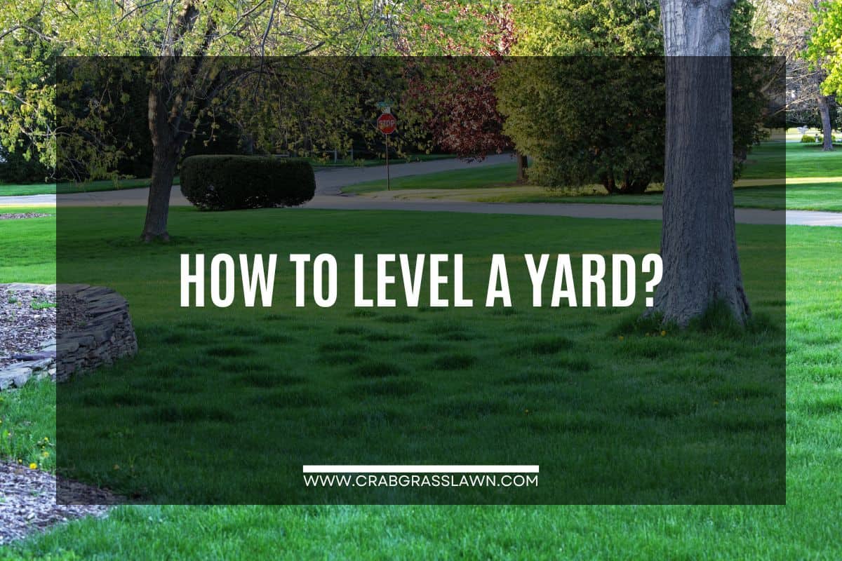 How to level a yard