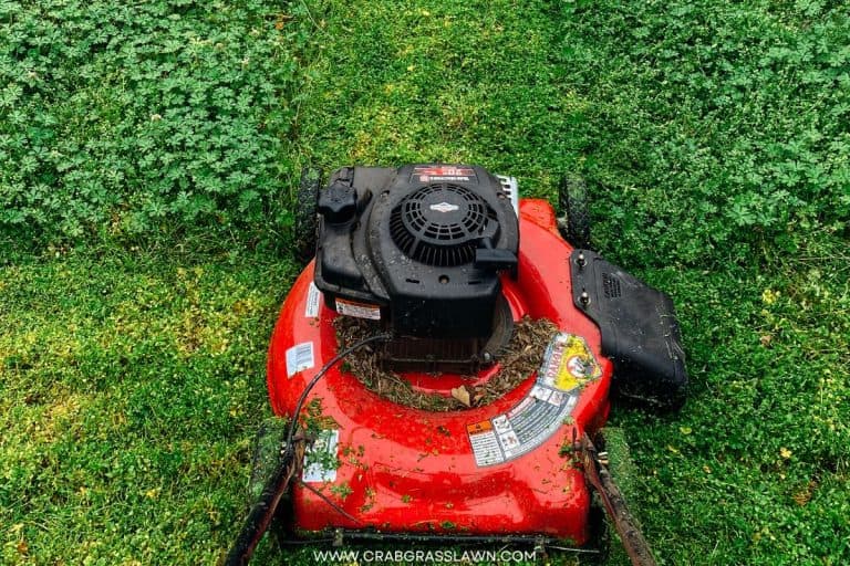 How to Make a Lawn Mower Faster (5 Ways) (2026) | CrabgrassLawn