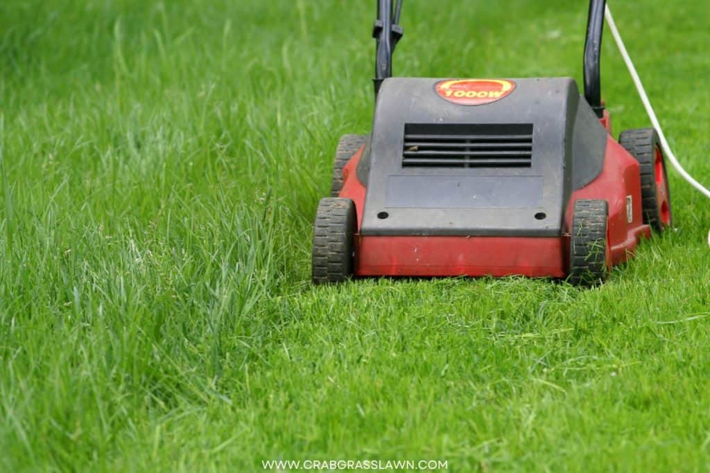 Lawn mower